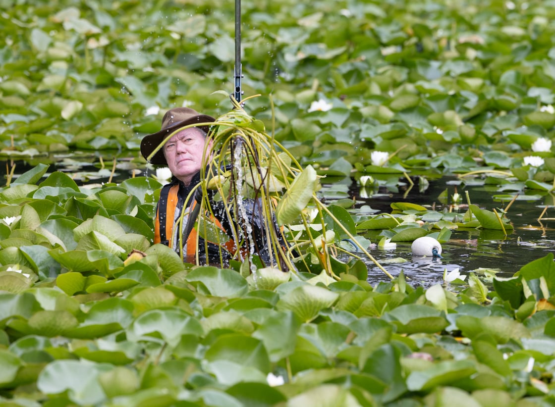 01-Lake-Louise-Water-Lilies-250709-FW-CROP