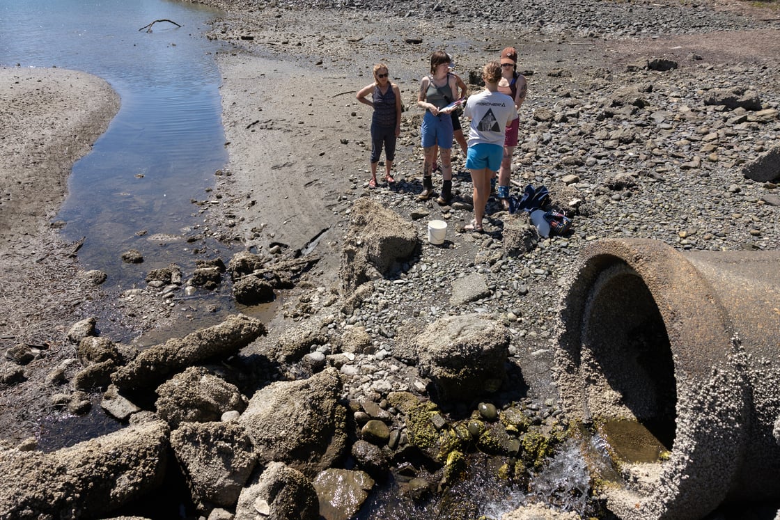 03-stormwater-testing-20250715-SO
