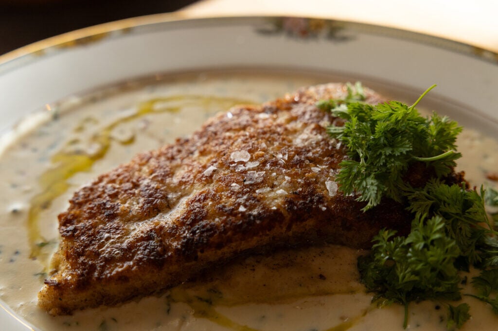 04-roe-241122-HH-1024x682