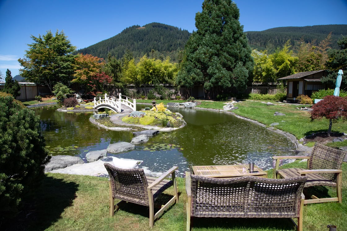 09-persimmon-240801-HH