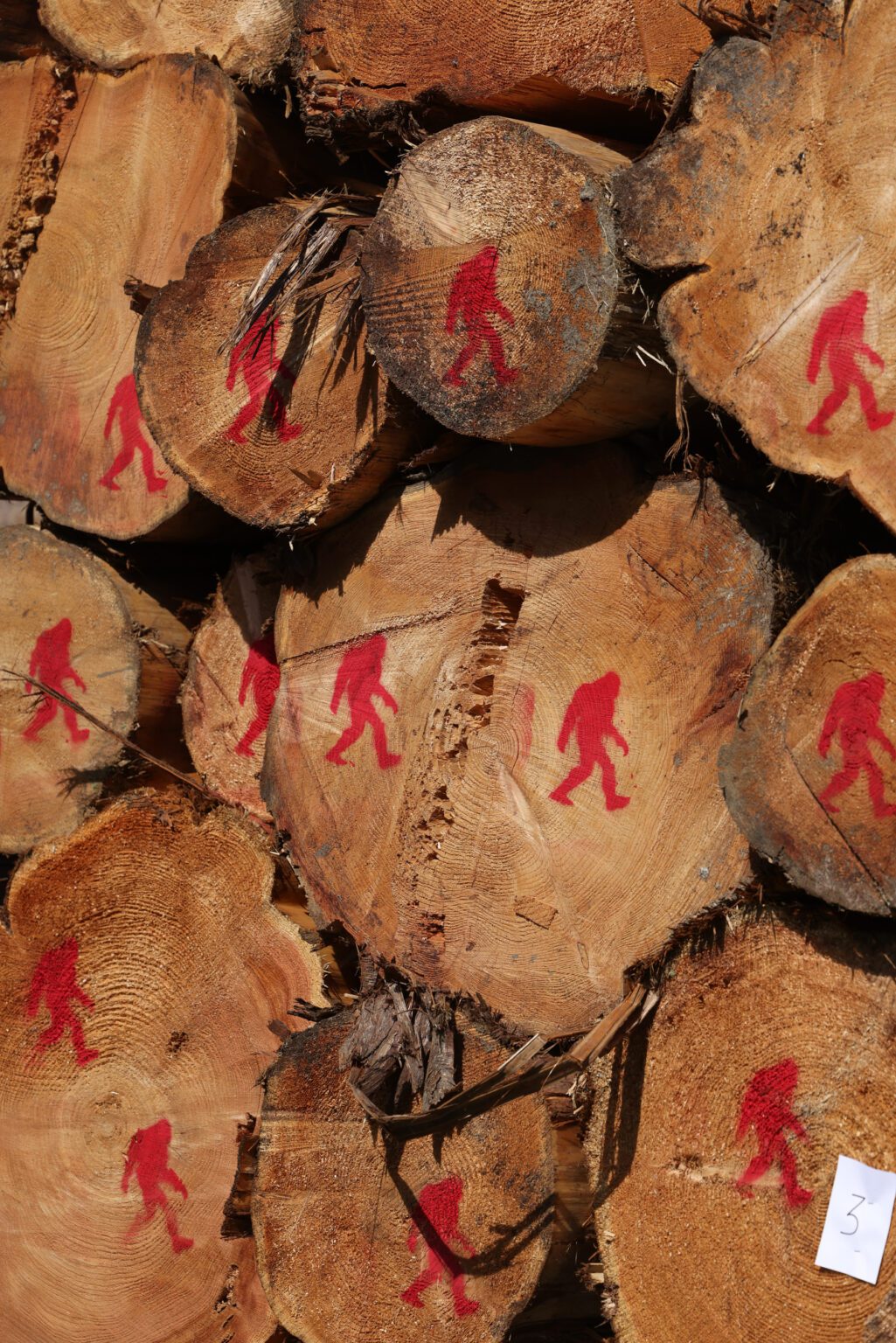 19-Deming-Logging-Show-AB-240608-1025x1536