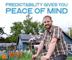 Ecotech_Article_300x250