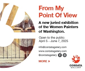 My_Point_View_300x250