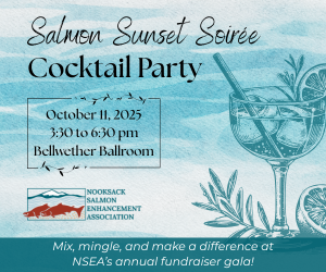 Salmon_Soiree_2025_300x250