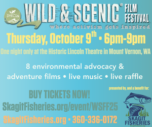 Skagit Fisheries - Wild and Scenic