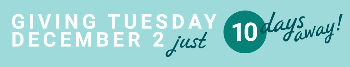 giving tuesday email 1@600x