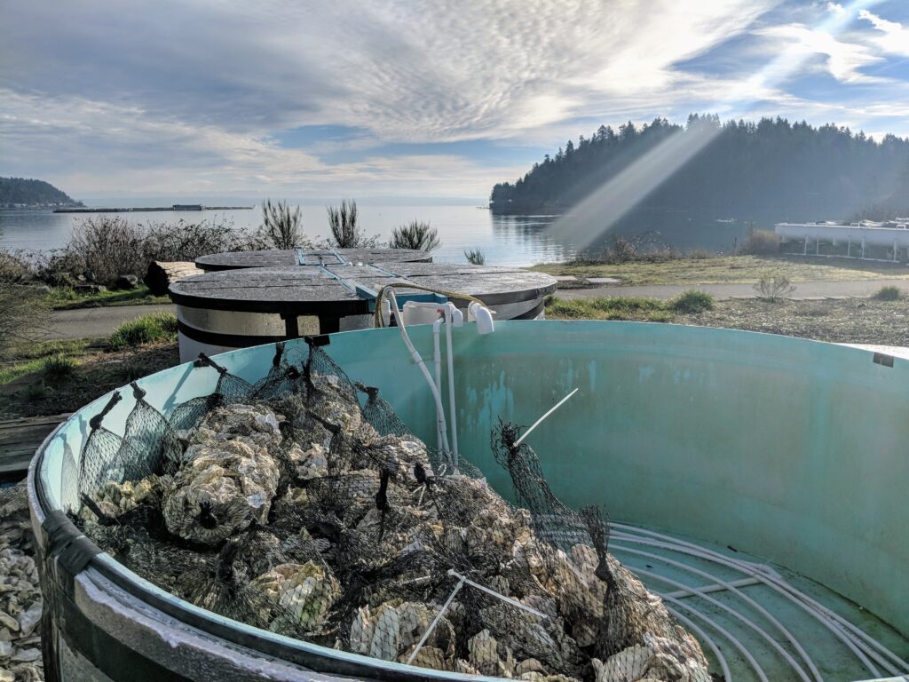 olys-psrf-2-1024x768